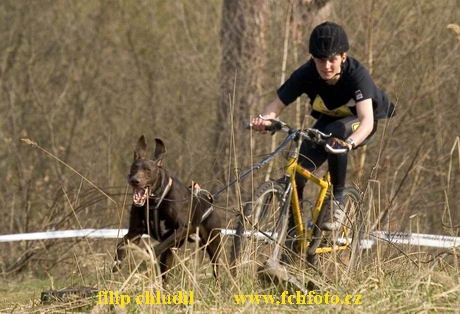 Polsko 2005 - 502.jpg